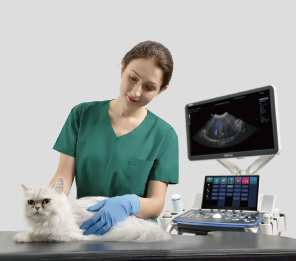mindray animal veterinary ultrasound machines
